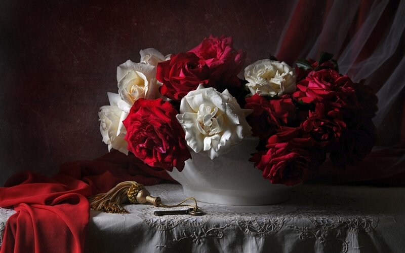 Bouquet of Red and White Roses — Dramatic