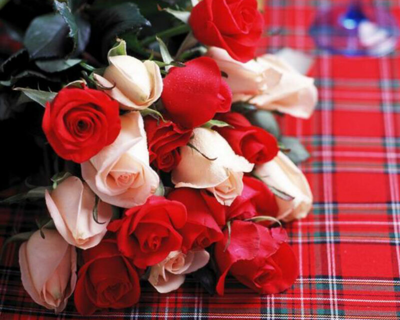Bouquet of Red and White Roses — Romantic, Photograph, Tablecloth