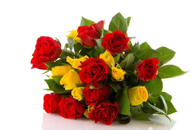 Bouquet of Red and Yellow Roses — Calm