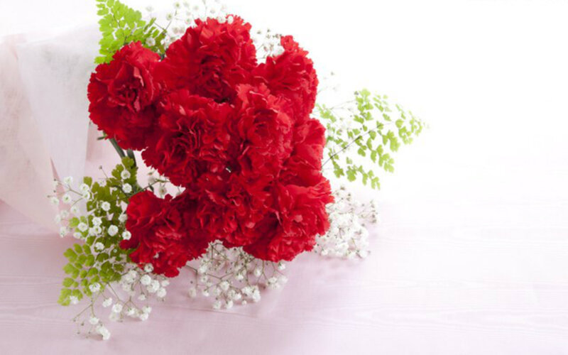 Bouquet of Red Carnations — Calm