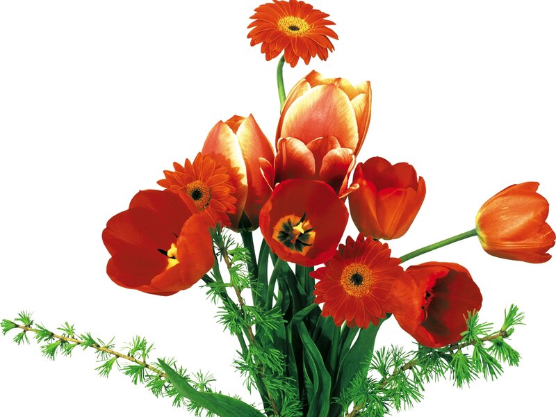 bouquet of red flowers