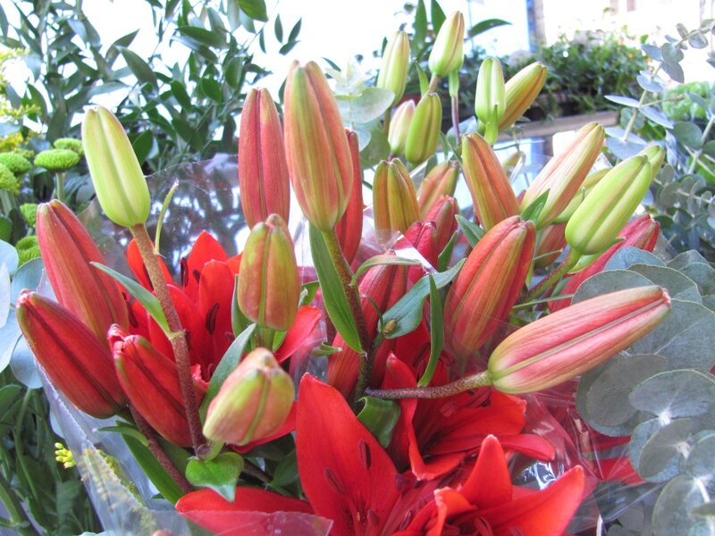 bouquet of red lilies