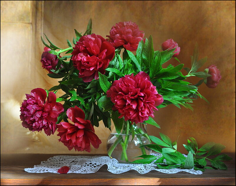 Bouquet of Red Peonies — Calm, Photograph