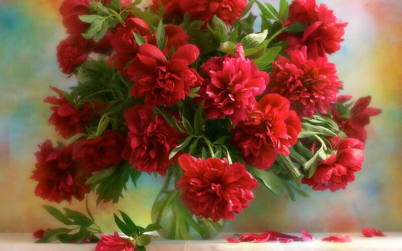 Bouquet of Red Peonies — Calm, Photograph, Vase