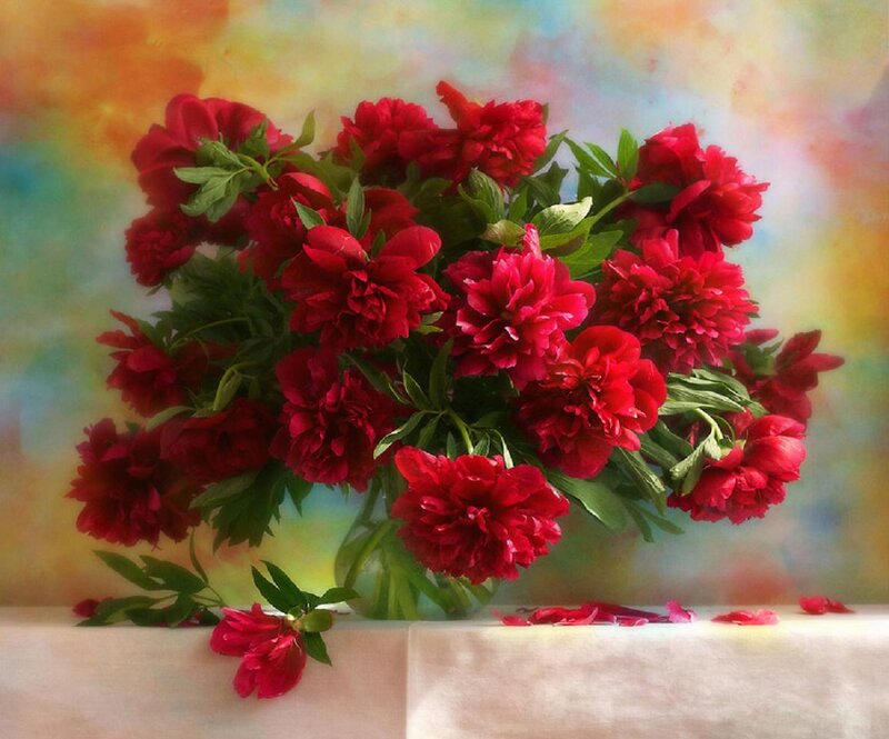 Bouquet of Red Peonies — Calm