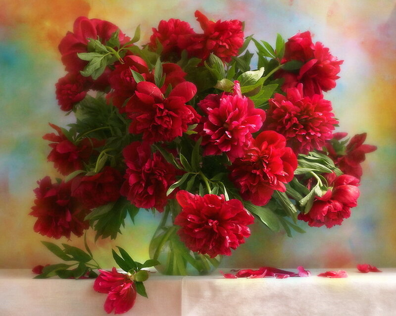 Bouquet of Red Peonies