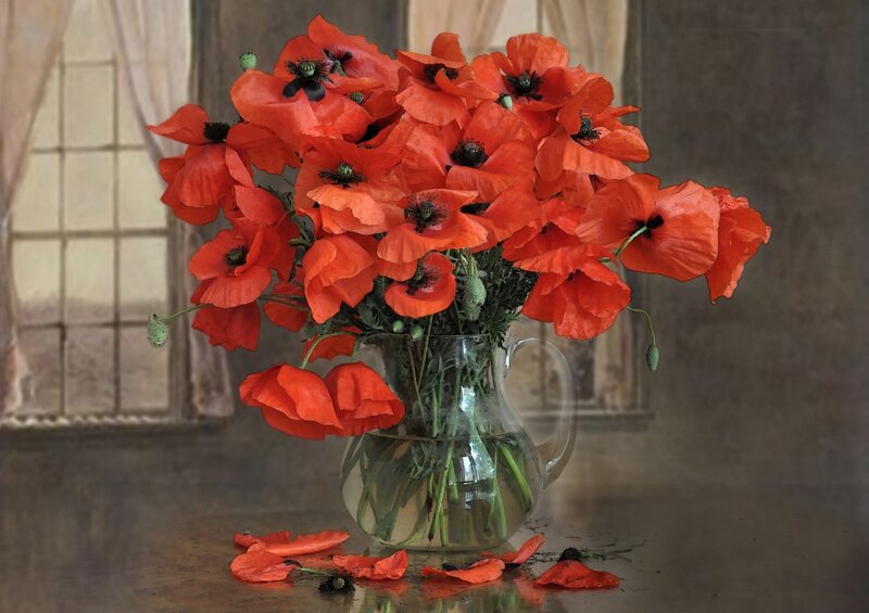 Bouquet of Red Poppies — Calm
