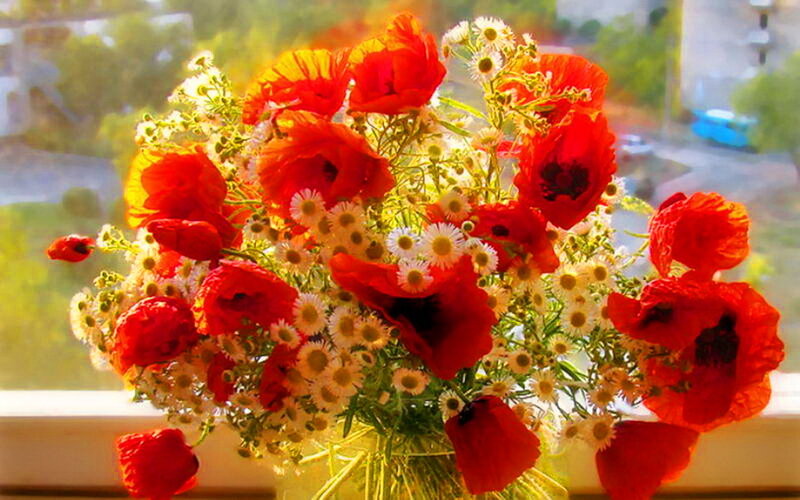 Bouquet of Red Poppies