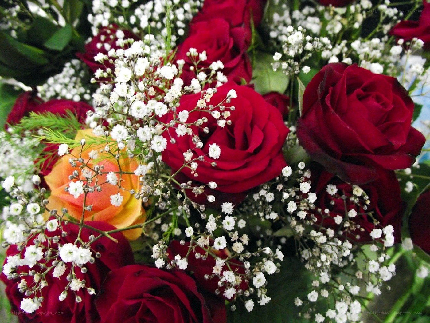 bouquet of red roses
