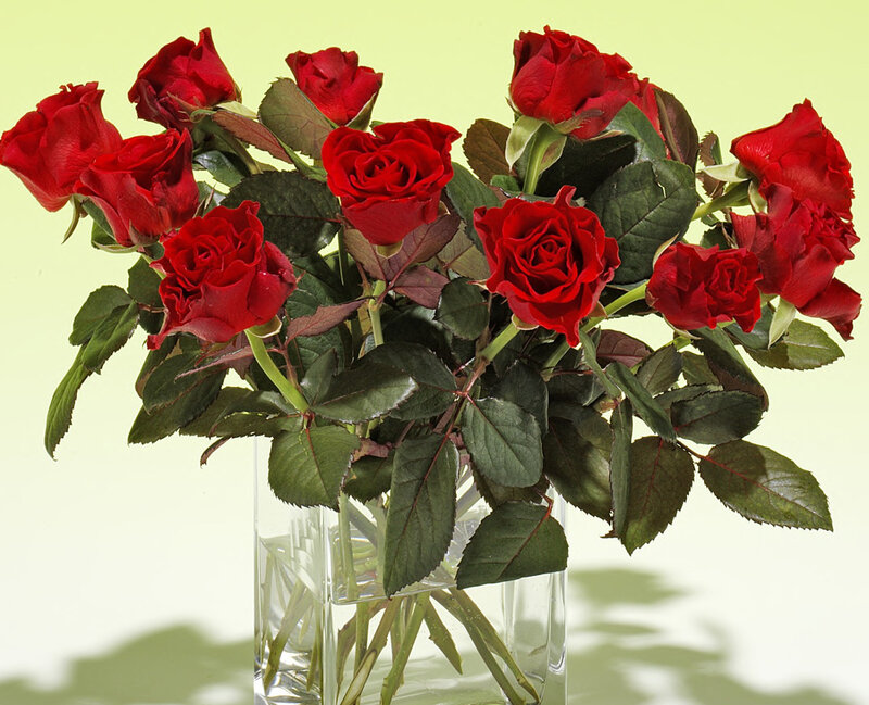 bouquet of red roses