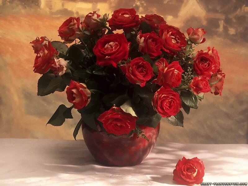 bouquet of red roses
