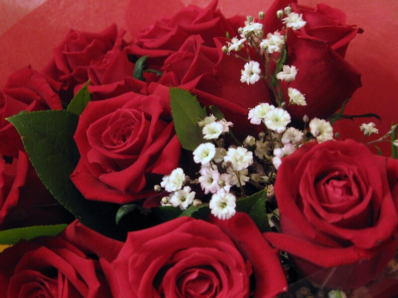 bouquet of red roses