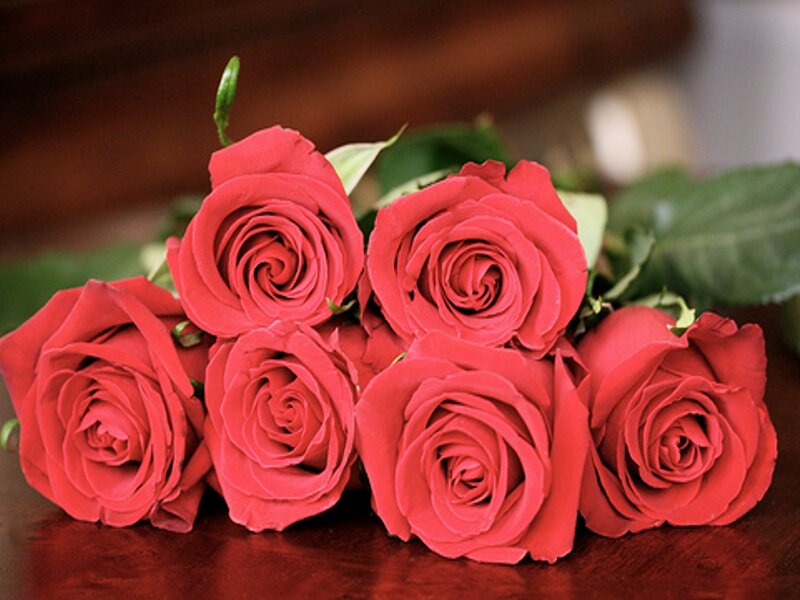 bouquet of red roses