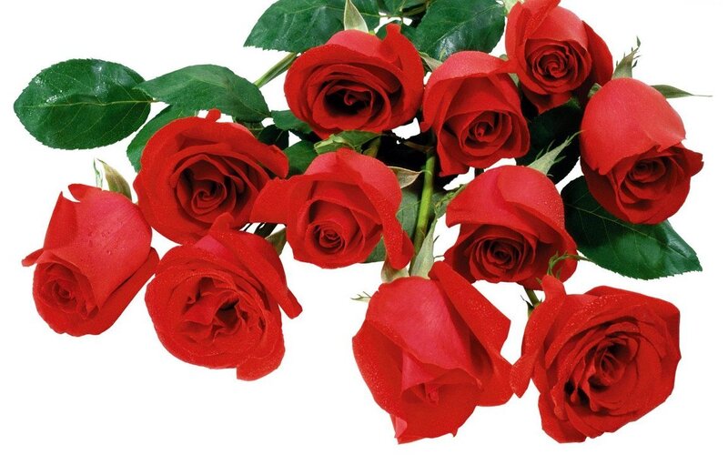 bouquet of red roses