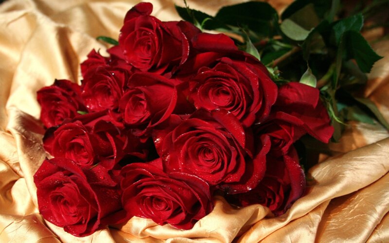 bouquet of red roses