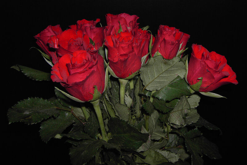 bouquet of red roses