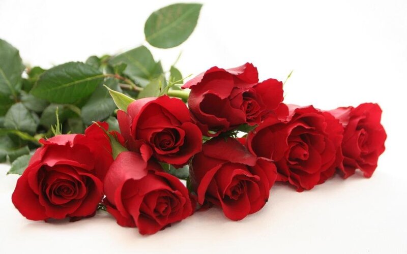 bouquet of red roses