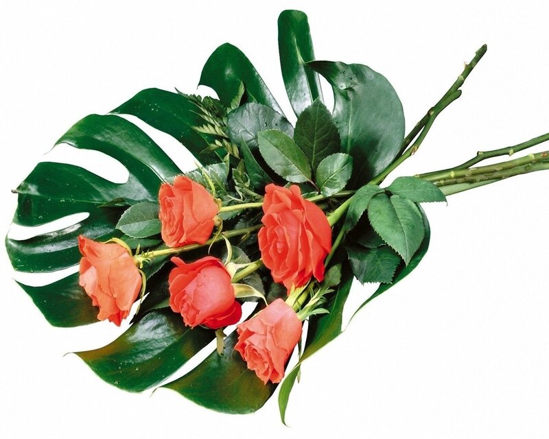 Bouquet of red roses