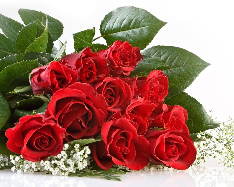 bouquet of red roses
