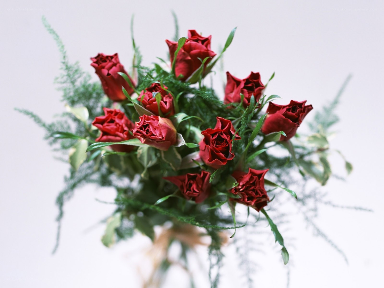 bouquet of red roses