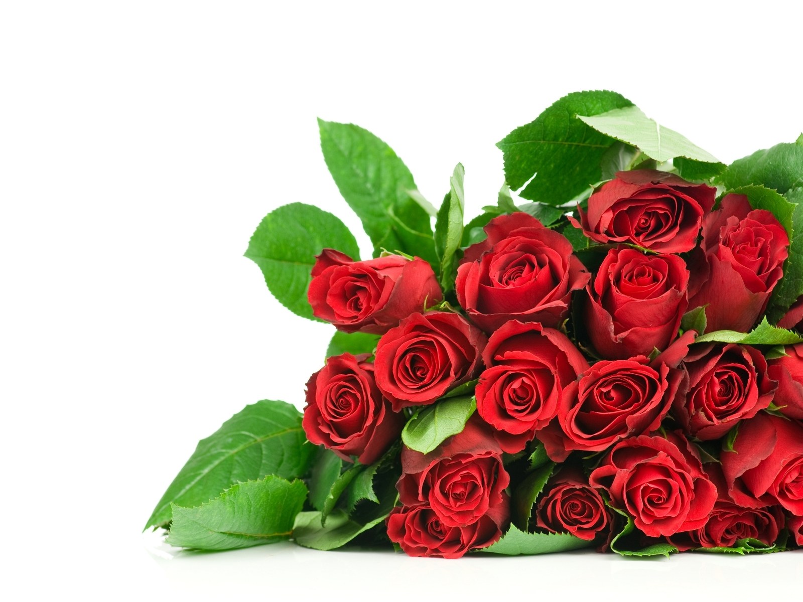 bouquet of red roses