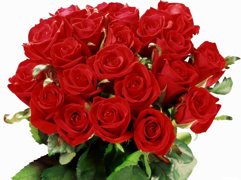 bouquet of red roses