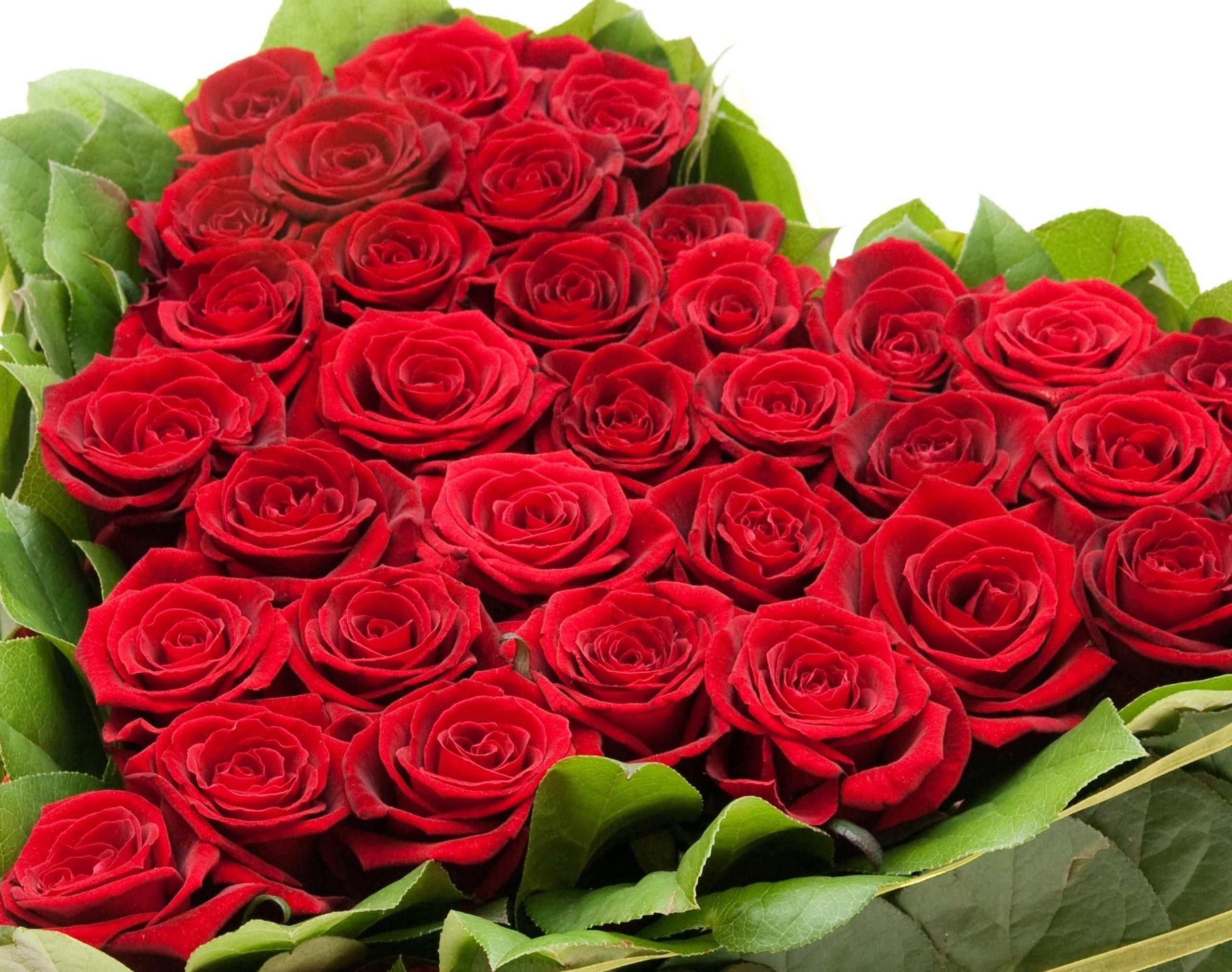 bouquet of red roses