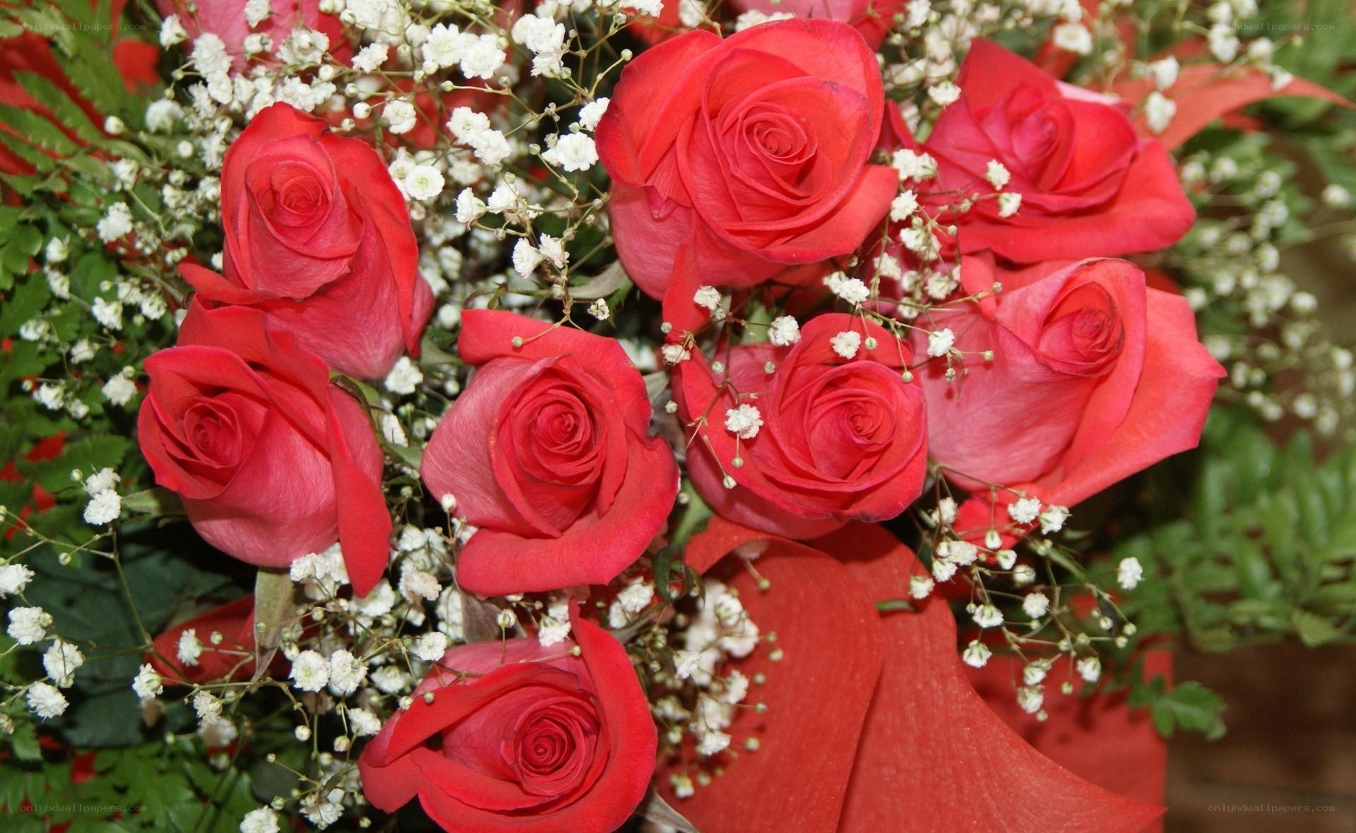 bouquet of red roses