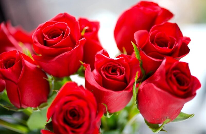 bouquet of red roses