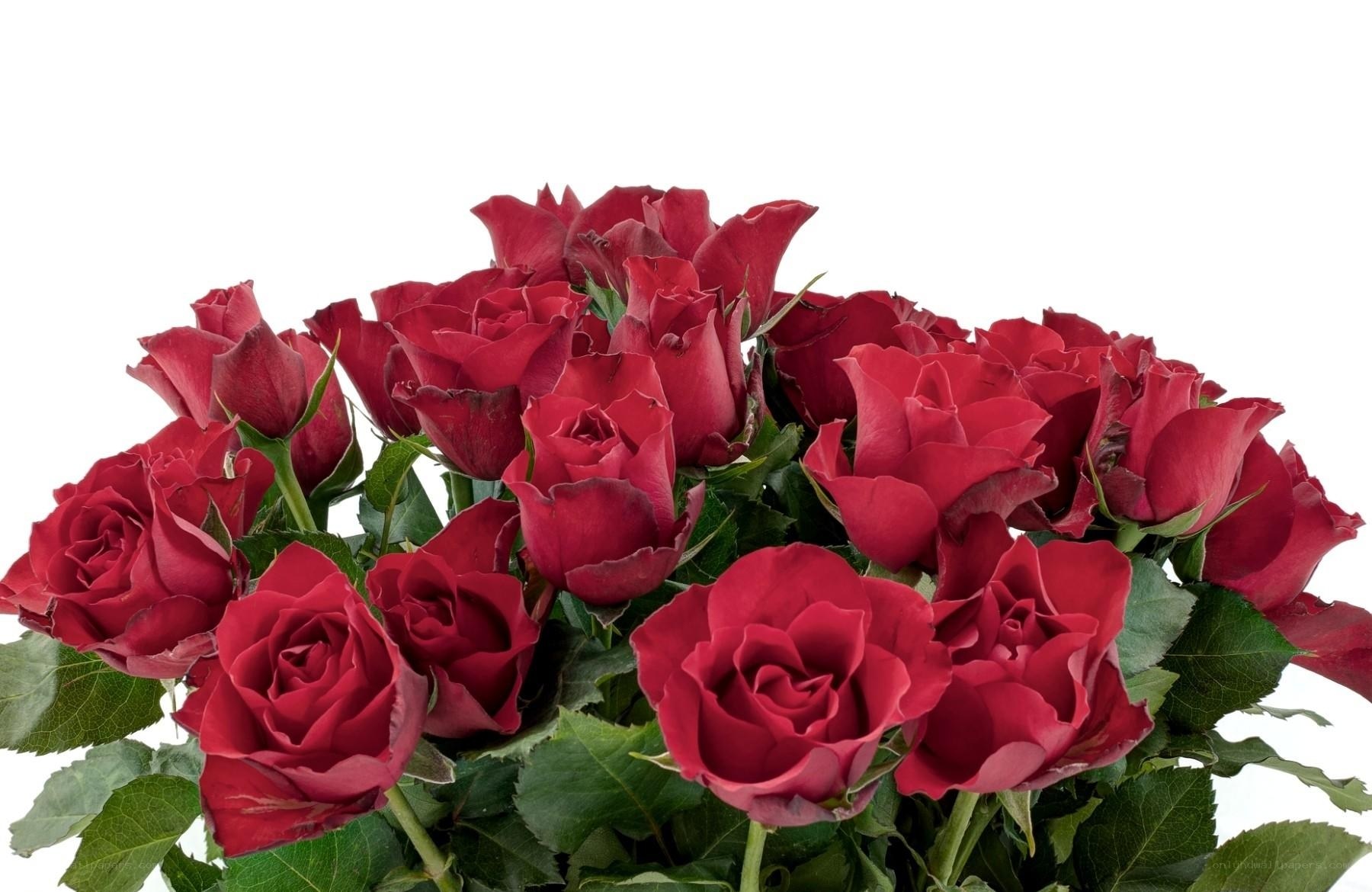 bouquet of red roses