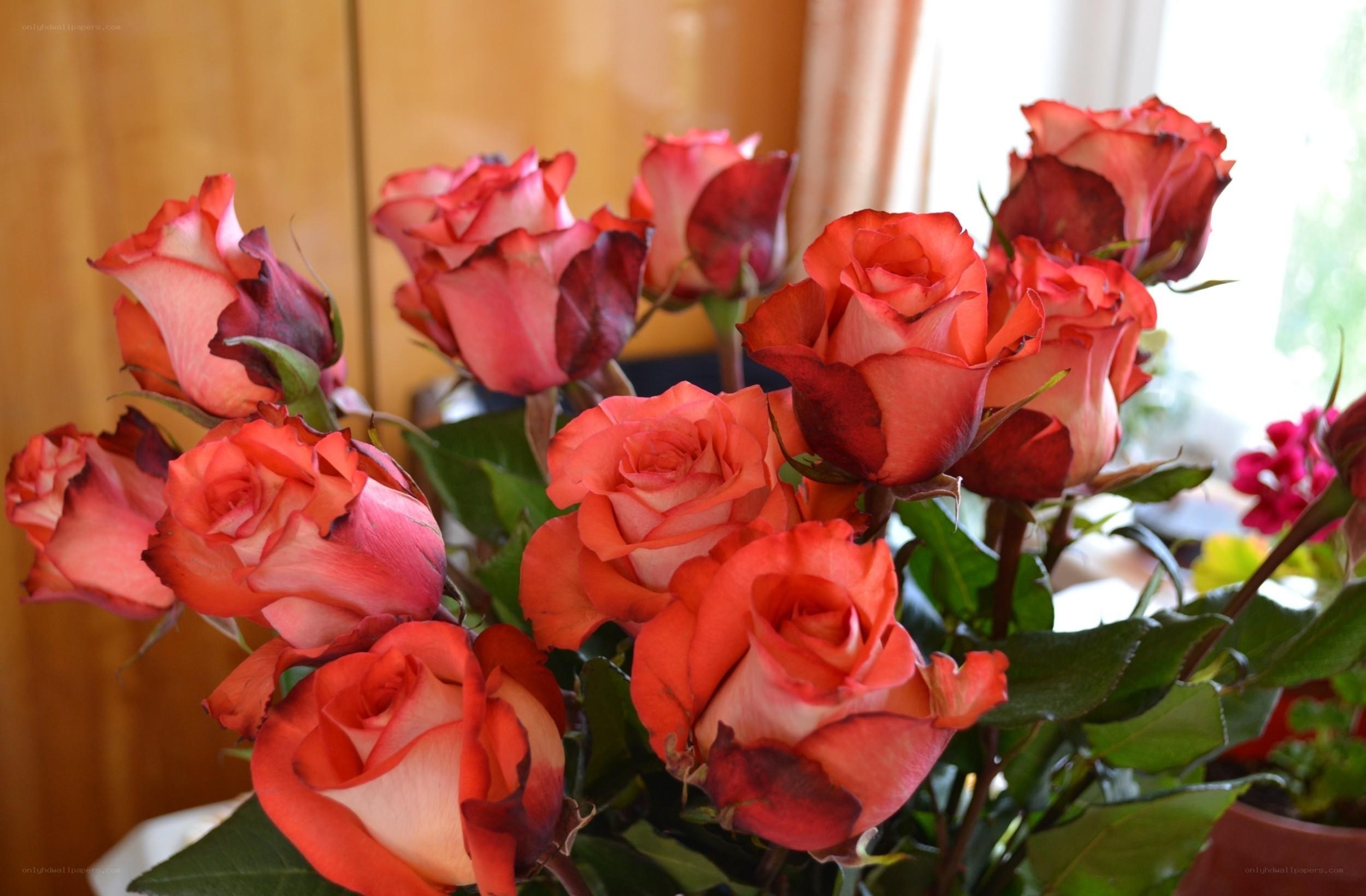 bouquet of red roses