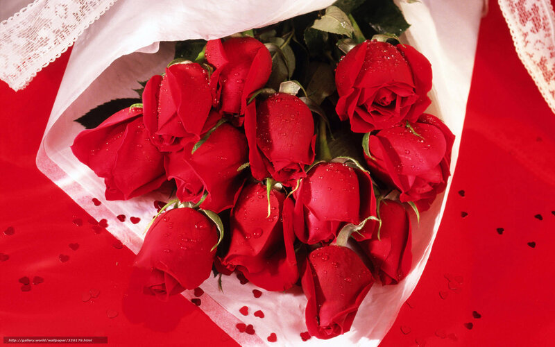 bouquet of red roses