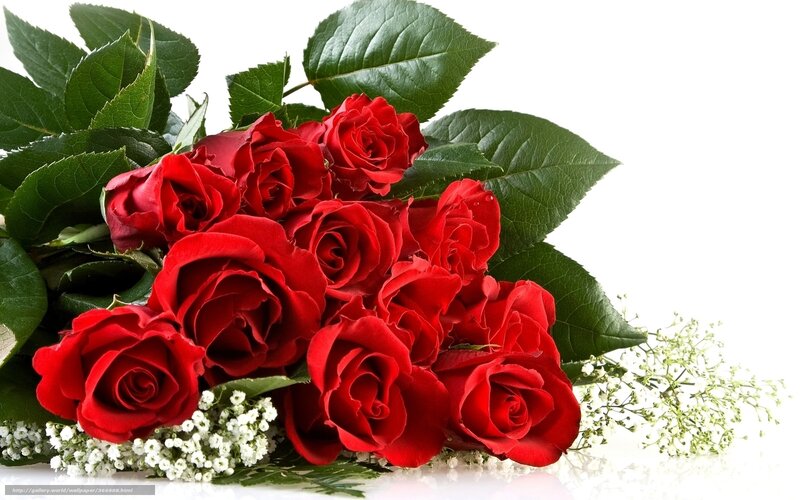 bouquet of red roses