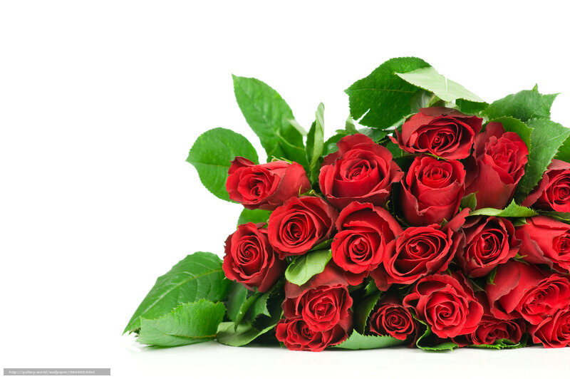bouquet of red roses
