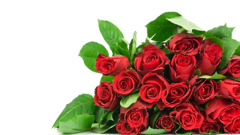 bouquet of red roses