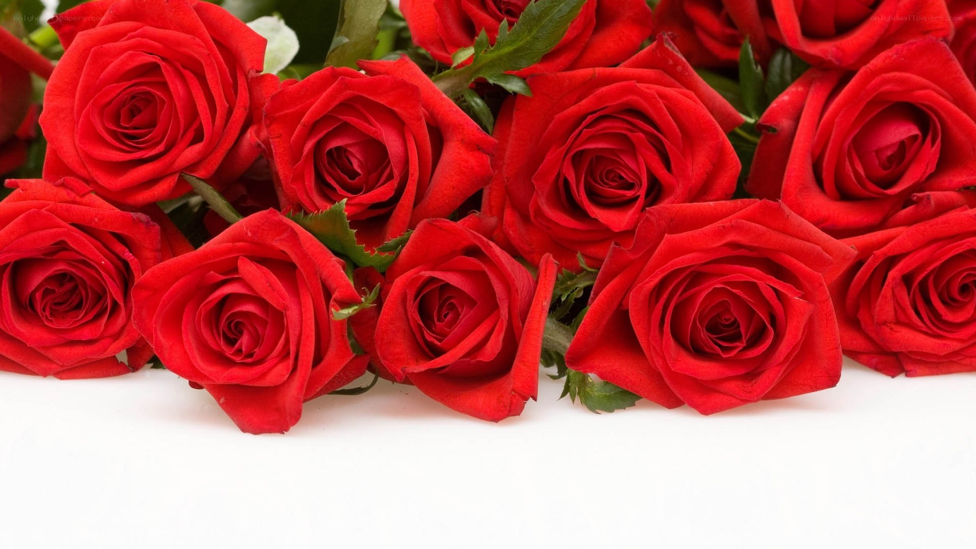 bouquet of red roses