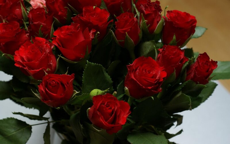 bouquet of red roses