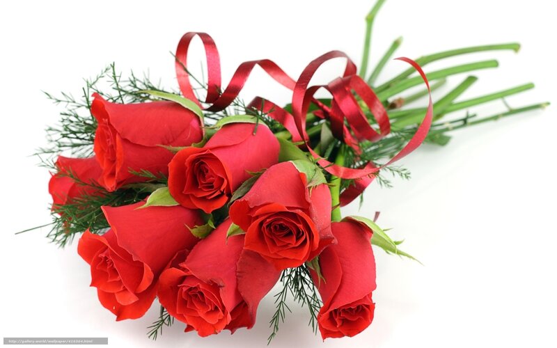 bouquet of red roses