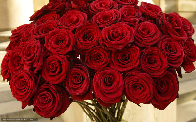 bouquet of red roses