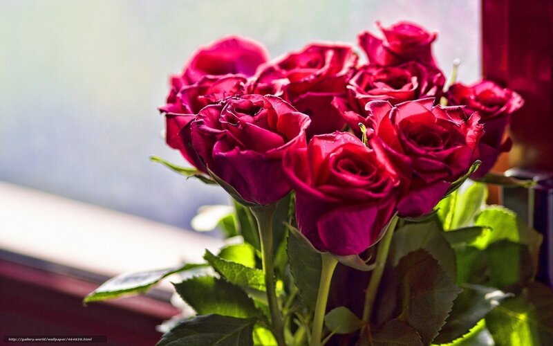 bouquet of red roses