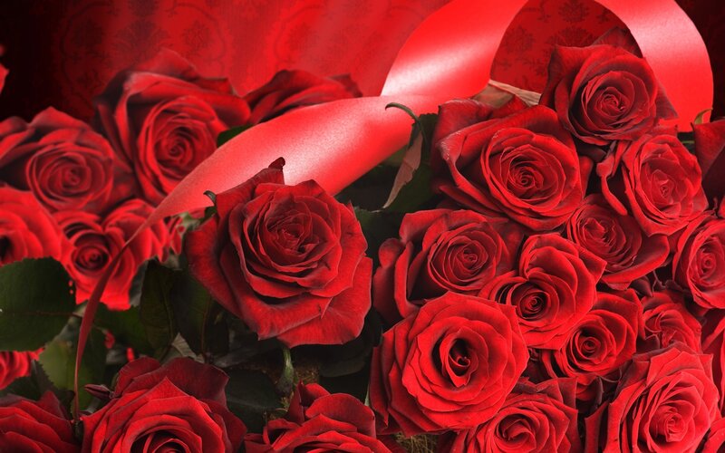 bouquet of red roses