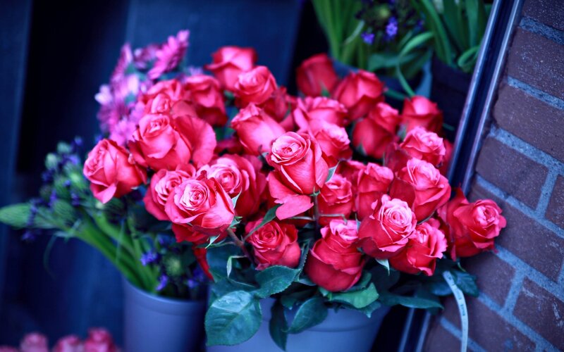 bouquet of red roses