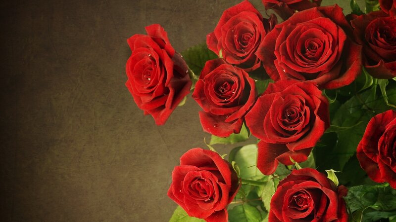 bouquet of red roses