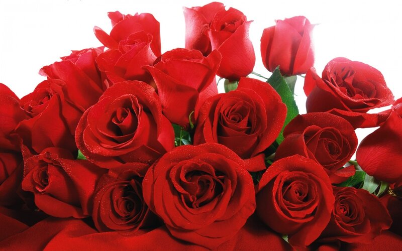 bouquet of red roses