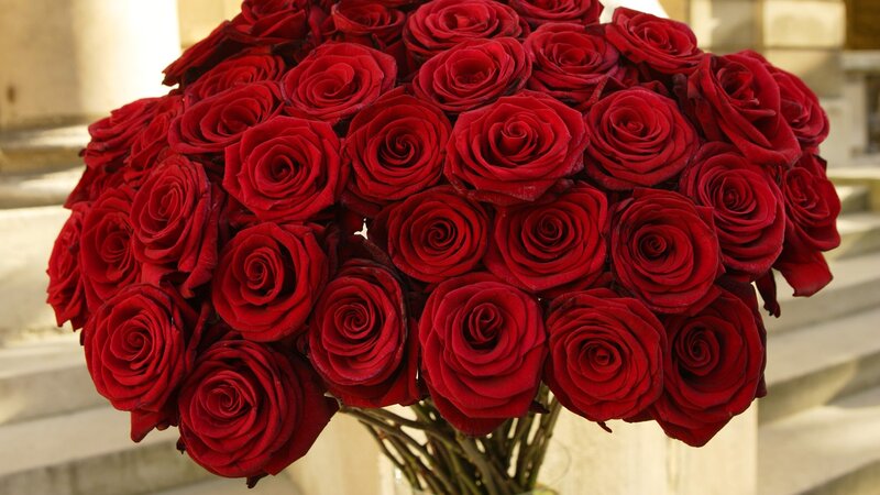 bouquet of red roses