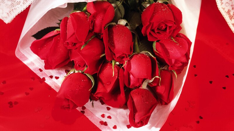 bouquet of red roses