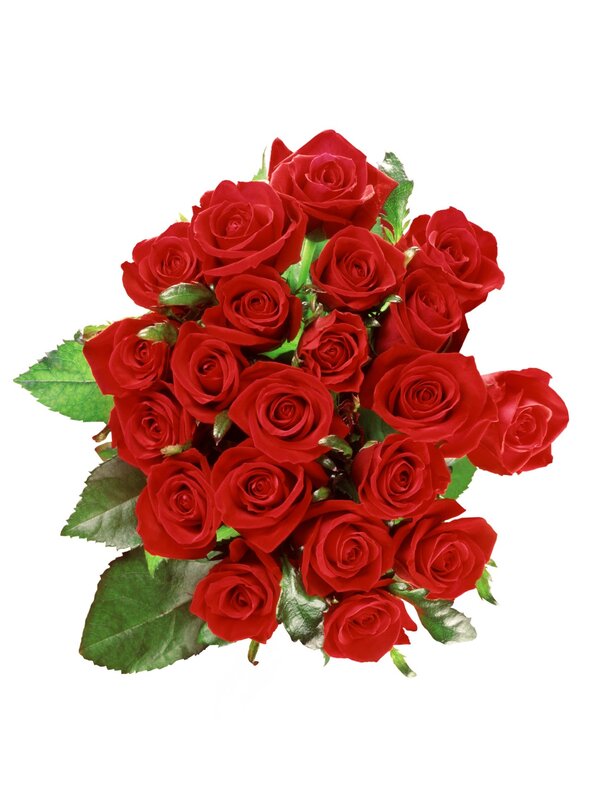 bouquet of red roses