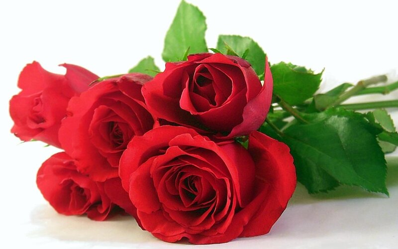 bouquet of red roses