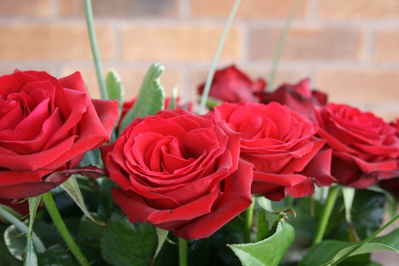 bouquet of red roses