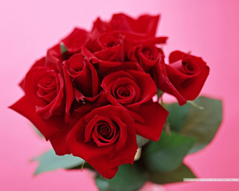 bouquet of red roses